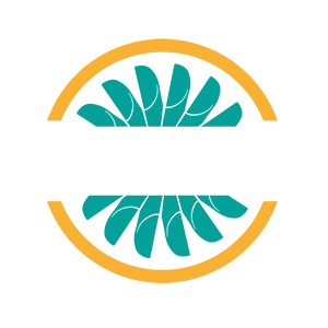 Visum Energy